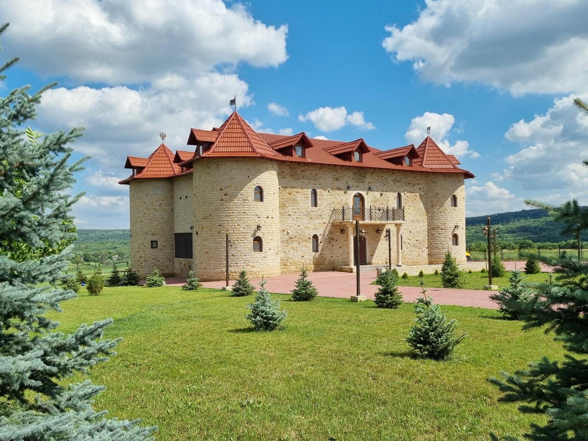 Castel Unghern Ivancea Exterior foto